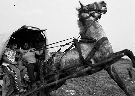 Gute Fotos – guter Zweck Gute Fotos – guter Zweck
