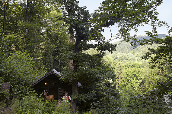 Germany's Fairy Tale Forests Germany's Fairy Tale Forests