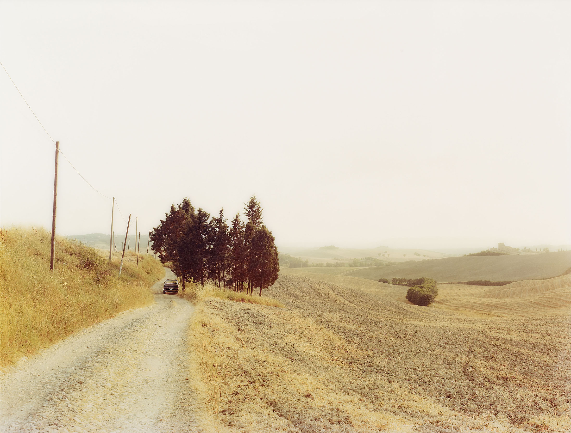 Elger Esser, Radi, Italien, 2002. Chromogenic print, face-mounted to plexiglass. 174 x 229 cm, Estimate € 20,000 – 25,000
