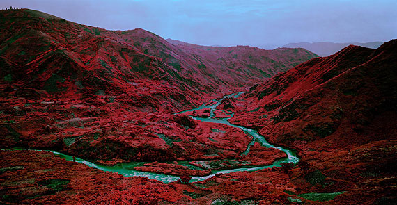 Richard Mosse | Love Is The Drug, 2012 | Jack Shainman Gallery, New YorkCourtesy of Art Basel