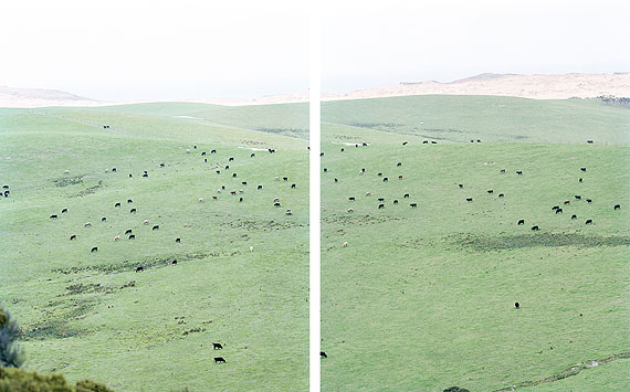 Walter Niedermayr, Neuseeland 2004
