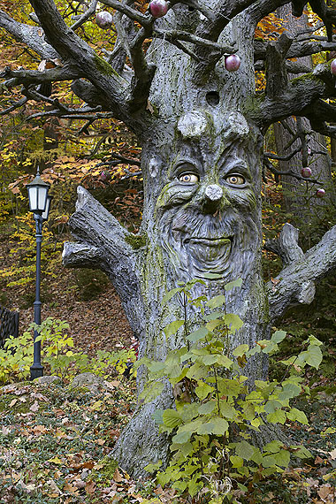 Germany's Fairy Tale Forests Germany's Fairy Tale Forests