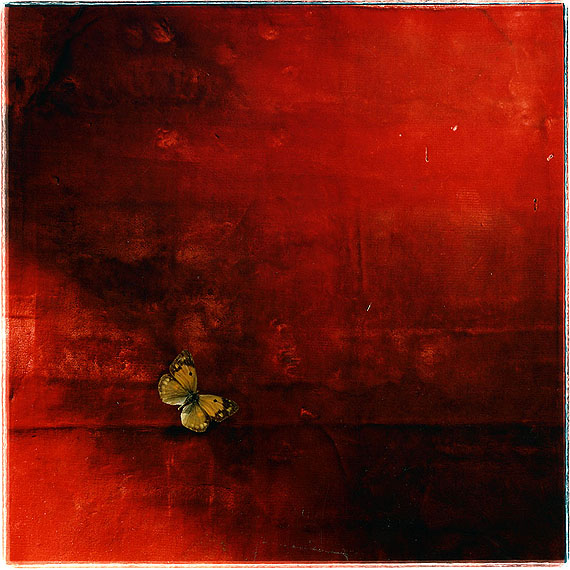 Toni Catany
Natura morta 123, 1986
Edition of 10,50 x 50 cm
© Toni Catany