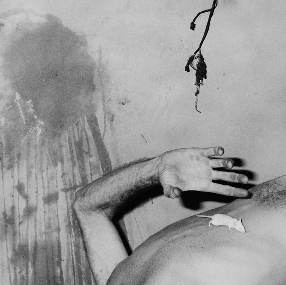 Roger Ballen
Rat on back, 2003
aus der Serie Shadow Chamber
© Roger Ballen
