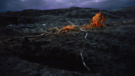  Anja Jensen: Country Site, 2011
