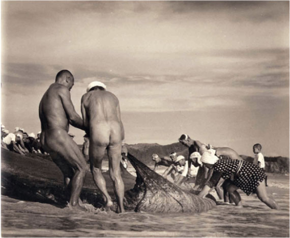 © Yoshiyuki Iwase
