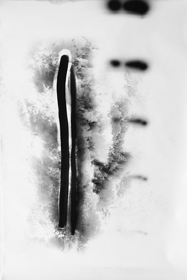Raphael Hefti: #1 Untitled (Lycopodium), 2011