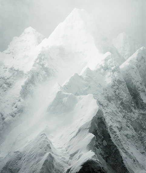 Sonja Braas: FORCES #21, 2003