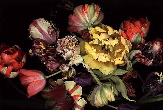 Nature morte aux fleurs, vanité et carpe diem. 24483