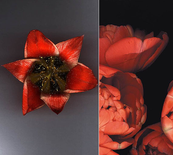 Luzia Simons Stockage 08, 2004 180 x 200 cm Diptych, 180 x 115 and 180 x 85 cm Scannogramm; Lightjet Print /Diasec Ed. 3