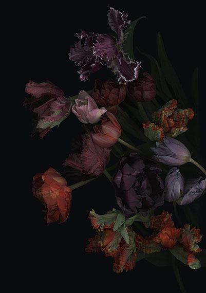 Luzia Simons  Stockage 119, 2011 180 x 126 cm Scannogramm; Lightjet Print /Diasec Ed. 5
