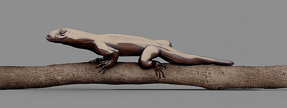 MONITOR LIZARD [Varanus imitabilis] Mimetic lizard &copy; Vincent Fournier