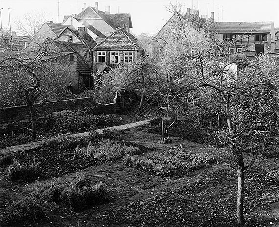 Max Baumann: Rosenhof, 15.11.1989