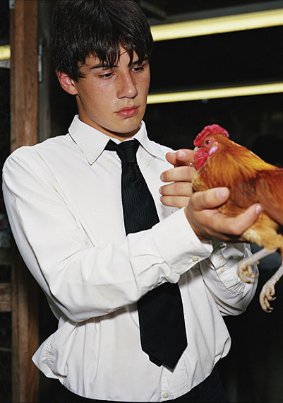 Young Man with Rooster, 2011 © Tina Barney