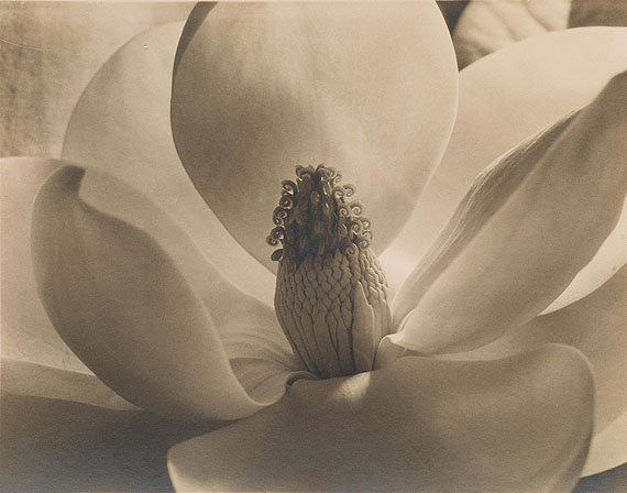 FINE PHOTOGRAPHS & PHOTOBOOKS FINE PHOTOGRAPHS & PHOTOBOOKS