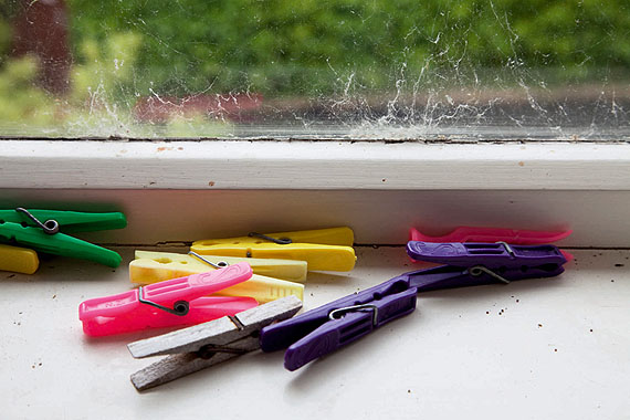 Jessica Backhaus
Clips, 2010
C-Print
Copyright Jessica Backhaus / courtesy Robert Morat Galerie