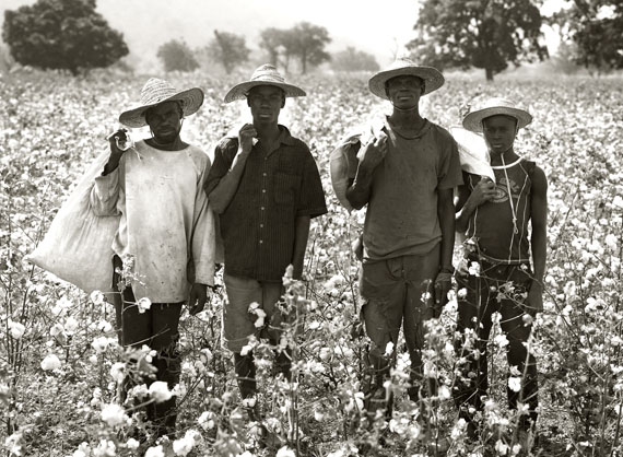 Cotton Farmers, Koulegou Field, Tanguieta, Benin, 2011 &copy; Albert Watson