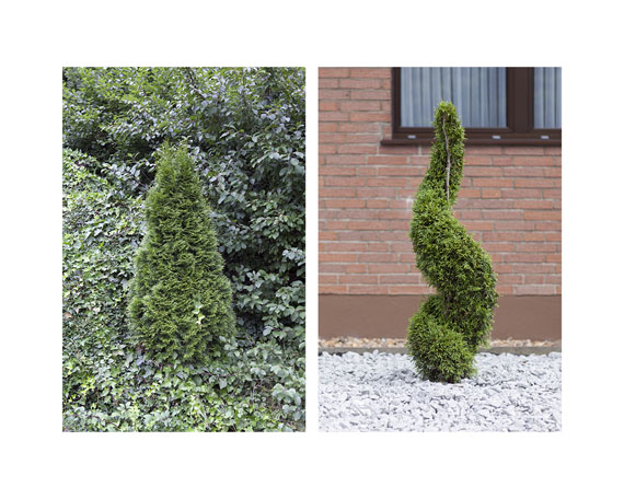 Ute Behrend                 Versteckt / Verdreht, 2012                 47,7 x 60 cm, Fine Art Print                 &copy; Ute Behrend