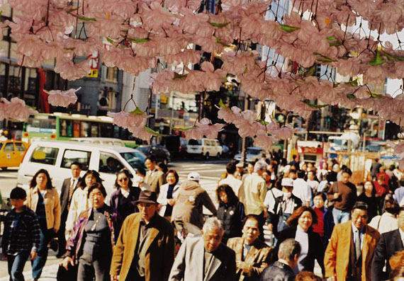 Martin Parr
CHERRY BLOSSOM TIME IN TOKYO
2000. 20 C-Prints.
Je 17,5 x 25,2 cm bzw. 25,2 x 17 cm