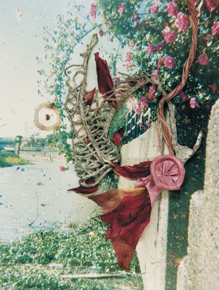 hackney flowers 2007 &copy; Stephen Gill 