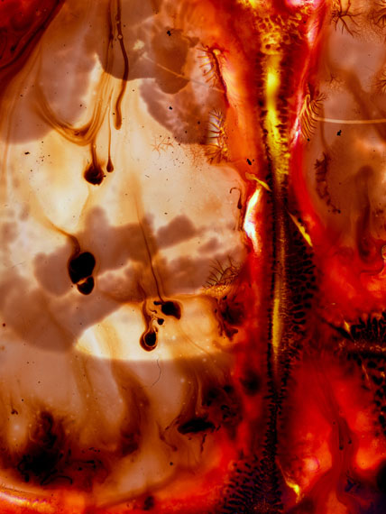 best before end 2 &copy; Stephen Gill 