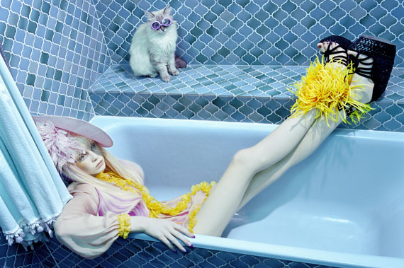 Cat Story #7, 2008
Lambda print
116,8 x 152,4 cm ( 46 x 60 in.)
Edition of 6, plus 2 AP's