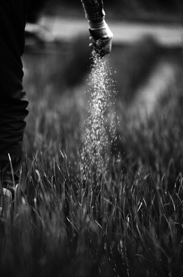 SILENT TRACES SILENT TRACES
