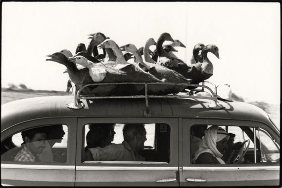 Une vie d’images Une vie d’images