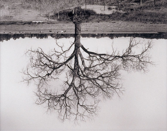 Die Idee der Landschaft Die Idee der Landschaft