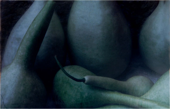 Natur - La Femme - Polaroids Natur - La Femme - Polaroids