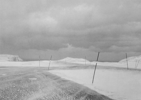 Northern Light Northern Light