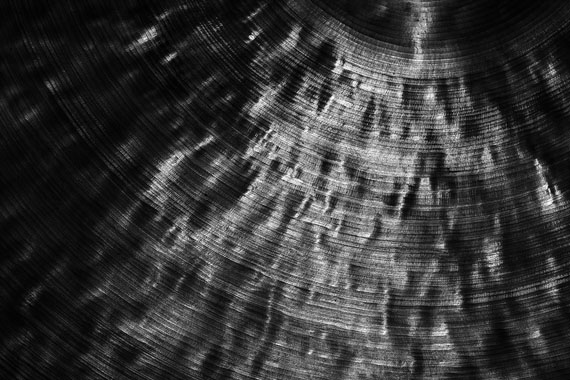 THE BODY PROJECT / Das Körperprojekt THE BODY PROJECT / Das Körperprojekt