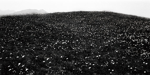 Looking in Landscapes Looking in Landscapes