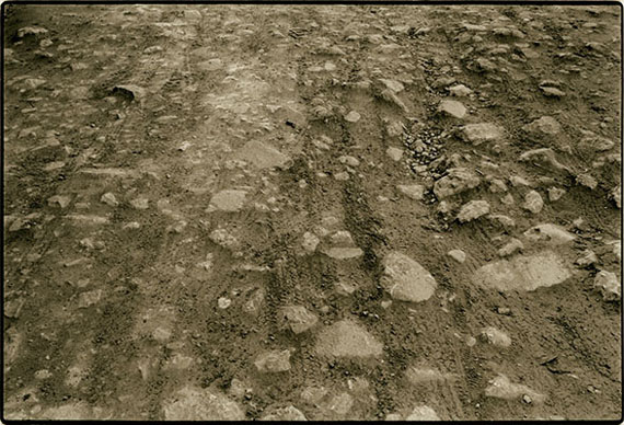 Looking in Landscapes Looking in Landscapes
