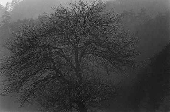 Looking in Landscapes Looking in Landscapes