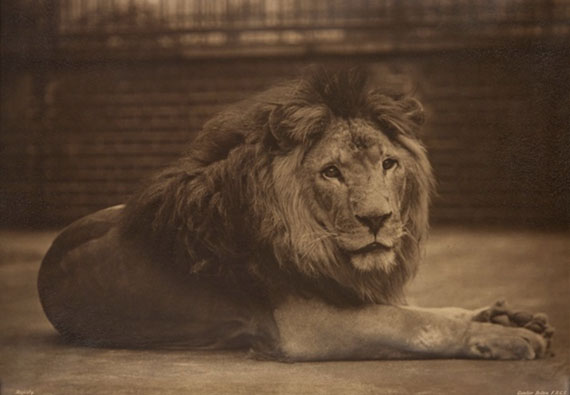 The London Photograph Fair The London Photograph Fair