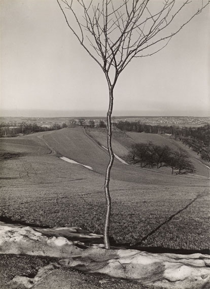 Modern and Contemporary Photographs Modern and Contemporary Photographs
