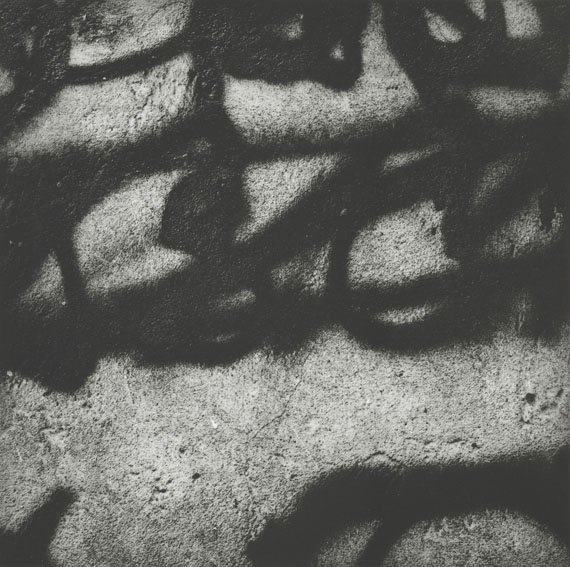 A Painter's Photographer A Painter's Photographer