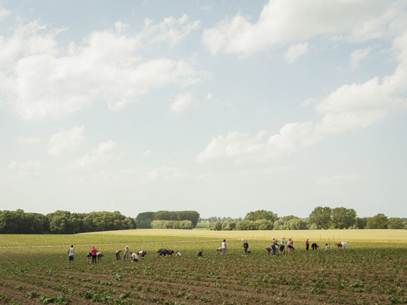 Die zweite Heimat Die zweite Heimat