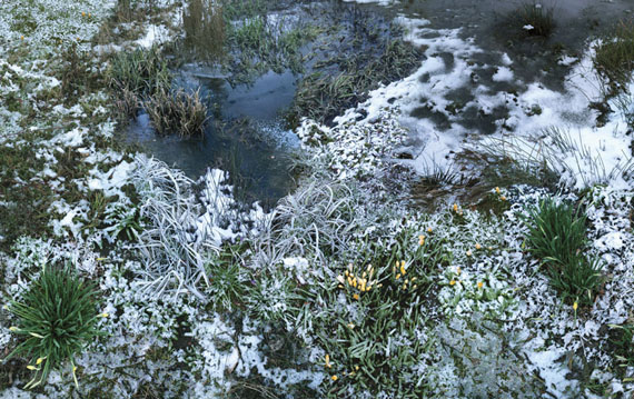 FAKE NATURE FAKE NATURE