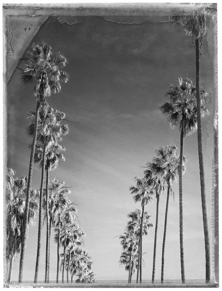 Lost in L.A. Lost in L.A.