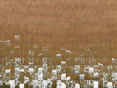 Andreas Gefeller Untitled (Beach) NL-Domburg, 2006 Lightjetprint / Diasec 148 x 199 cm Edition of 8, Courtesy Thomas Rehbein Galerie