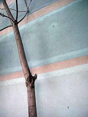 IM GARTEN - ZWILLING RECHTS, 2004