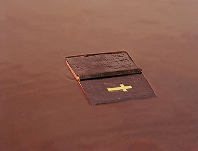 MICHAEL RILEYUntitled, 1998from flyblownChromogenic pigment print82 x 108cm, edition of 20