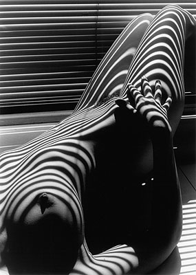 Nu zébré, New York 1977