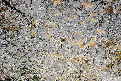 Hurlyburly 2008, 180 cm x 266 cm, framed. Courtesy Nusser & Baumgart Contemporary, Munich.