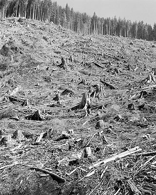 VERSCHWINDENDE LANDSCHAFTEN VERSCHWINDENDE LANDSCHAFTEN