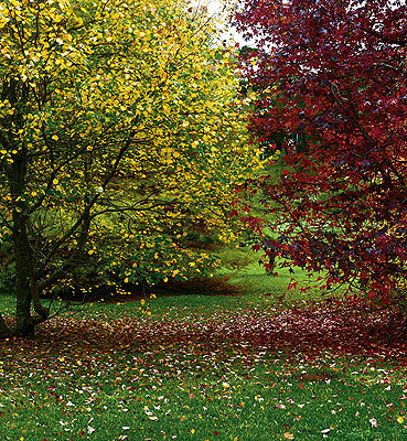 Paraná, 2002c-print160 x 127 cm
