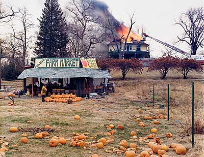 STERNFELD, JOEL (1944- ) 