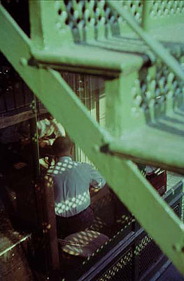 Tanager Steps, 1952; Chromogenic Print, Printed at a later date. 28 x 35 cm
